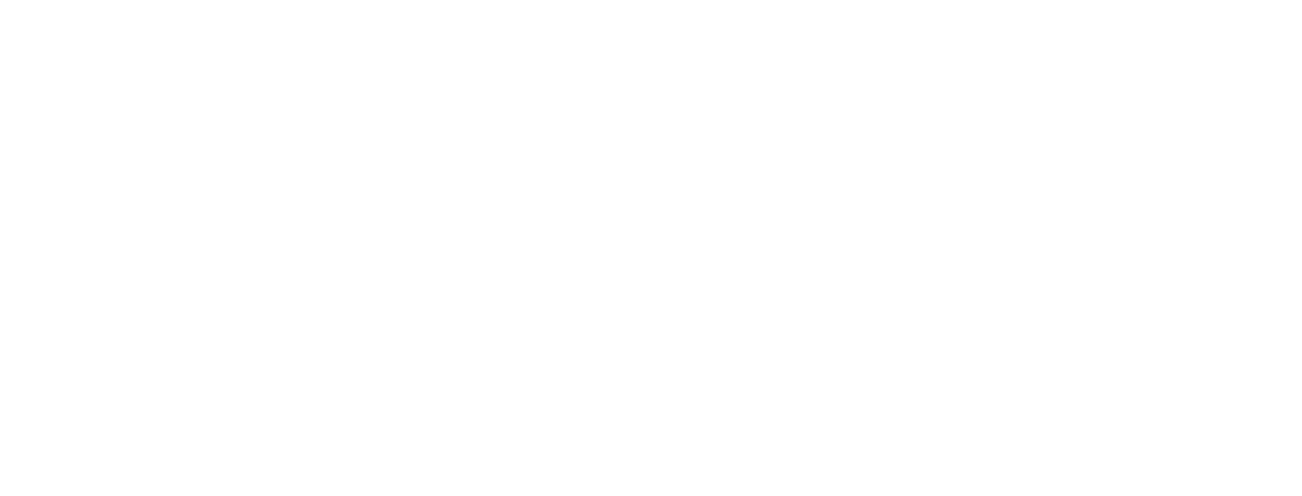 Mountain View Village